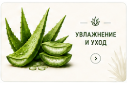 Алоэ Вера